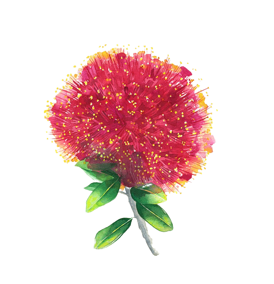 Pohutukawa flower